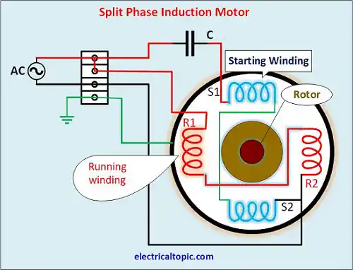 Single Phase split phase Inducton Motor: Types, Diagram, Working principle.