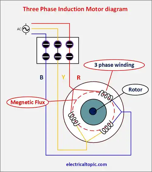 Three phase inducton motor: connection diagram and working principle.